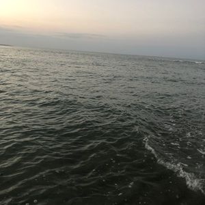 Meet your Posher, Jim